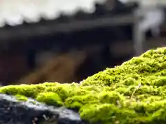 白鳥神社の自然