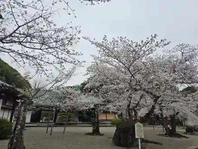 粉河寺(和歌山県)