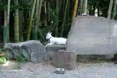 出雲大社相模分祠の動物