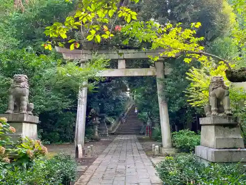 赤坂氷川神社の鳥居