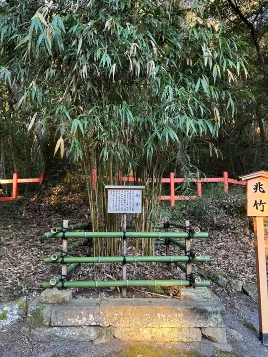 宇佐神宮(大分県)