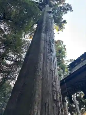 奥宮(鹿島神宮摂社)(茨城県)