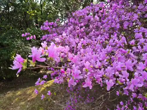 廣田神社(兵庫県)