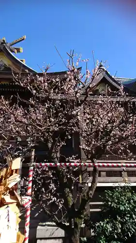湯島天満宮の自然