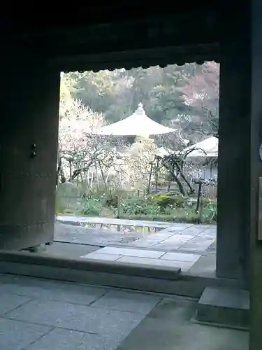 瑞泉寺の山門