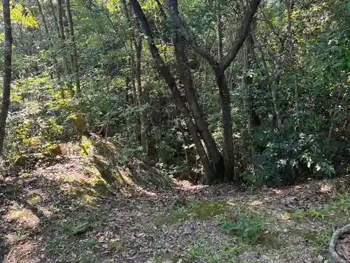 天一神社(徳島県)