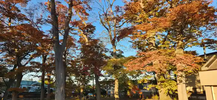 出羽国分寺薬師堂の周辺