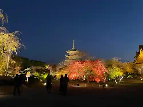 東寺（教王護国寺）(京都府)