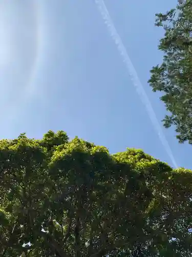 西宮八幡宮の景色