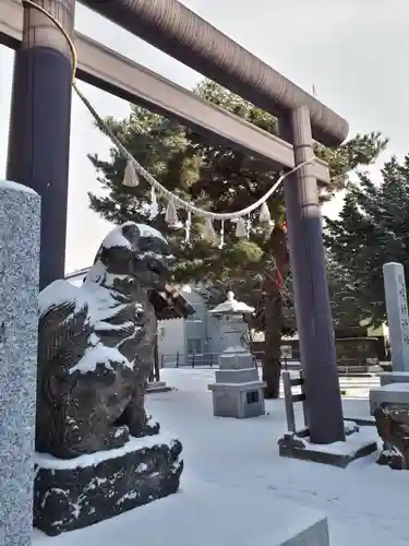 札幌村神社の鳥居