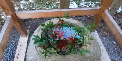 大井神社の手水舎