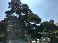 瑞光寺(東京都)