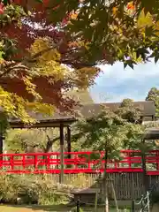 本土寺(千葉県)