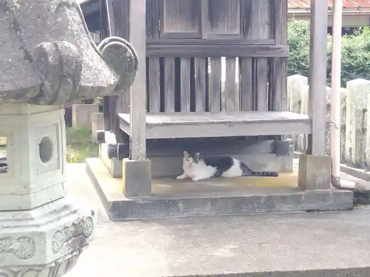 日吉神社(福井県)