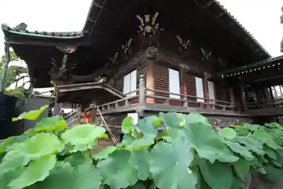 題経寺（柴又帝釈天）の本殿・本堂