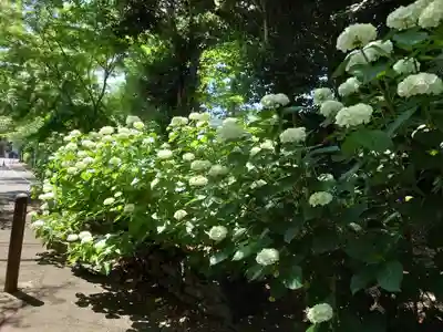 長谷寺(神奈川県)