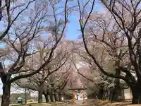 東蕗田天満社の自然