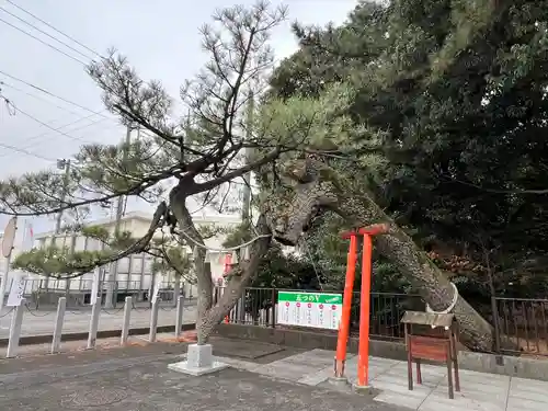 玉村八幡宮(群馬県)