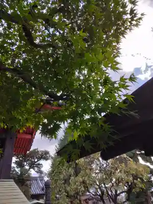 吉祥院(埼玉県)