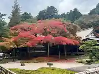 千如寺大悲王院(福岡県)