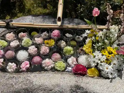 妙顯寺（妙顕寺）の手水舎