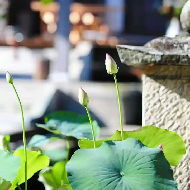 浄土寺(兵庫県)