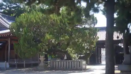 高砂神社(兵庫県)