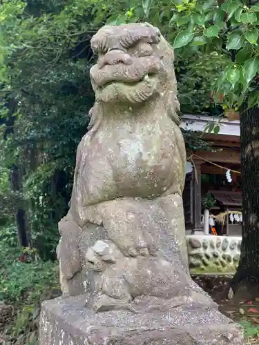 東中野熊野神社の狛犬