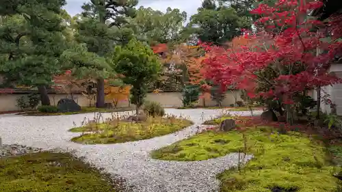廬山寺（廬山天台講寺）(京都府)