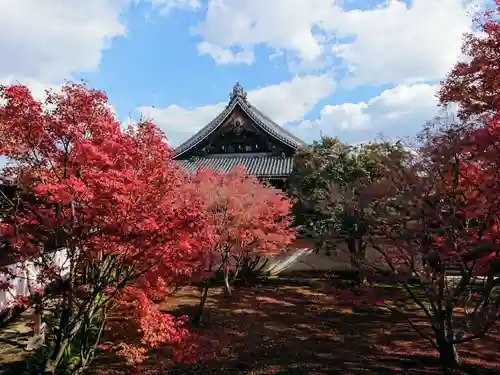 妙覺寺（妙覚寺）のその他建物