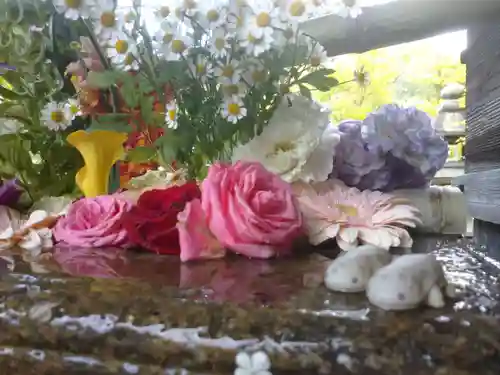 勝林寺の手水舎