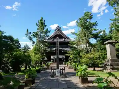 信濃國分寺の本殿・本堂