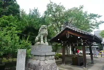 加納天満宮の狛犬