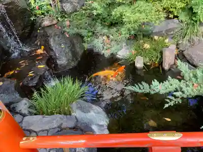 蛇窪神社(東京都)