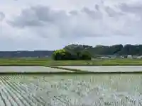 嚴島神社(千葉県)