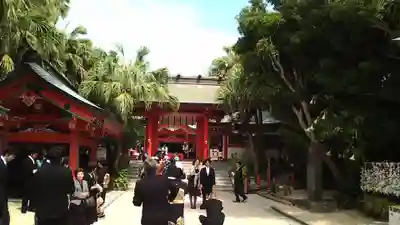 青島神社（青島神宮）(宮崎県)