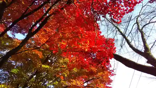 新得神社の自然