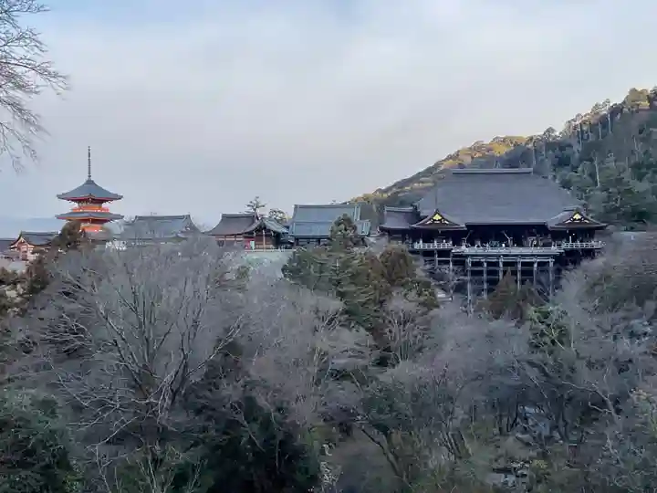 清水寺の景色