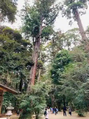 鹿島神宮(茨城県)