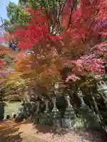 箸蔵寺(徳島県)