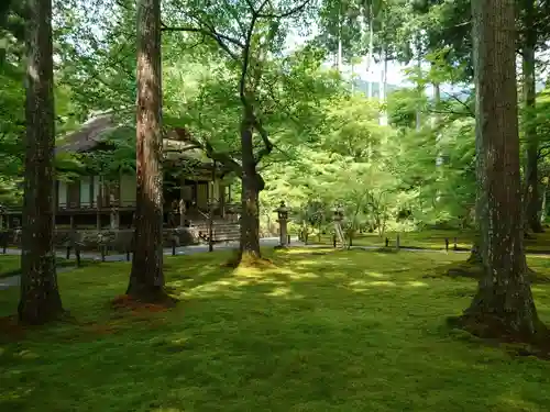 三千院門跡のその他建物