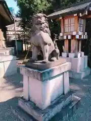 東郷神社の狛犬