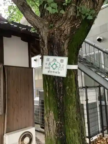 神明社（八事町）の自然