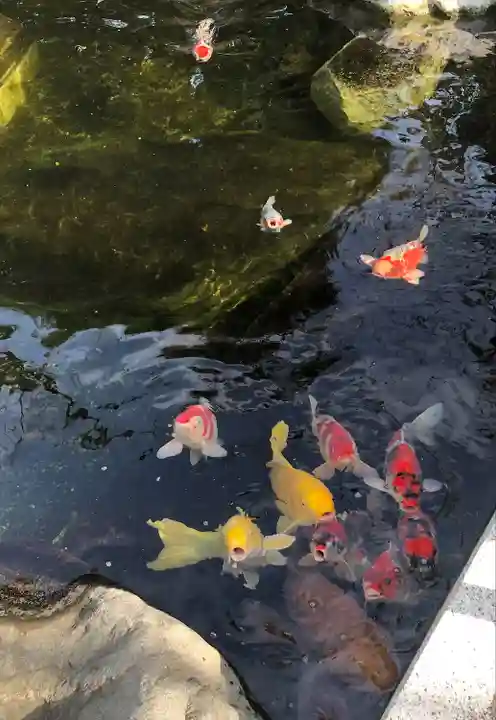 愛宕神社(東京都)