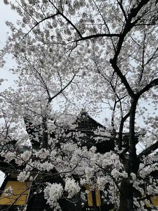 南禅寺(京都府)