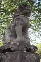 諏訪神社の狛犬