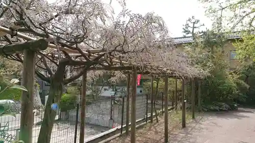 新潟大神宮の自然