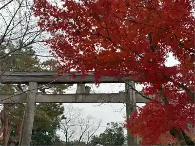 高麗神社(埼玉県)