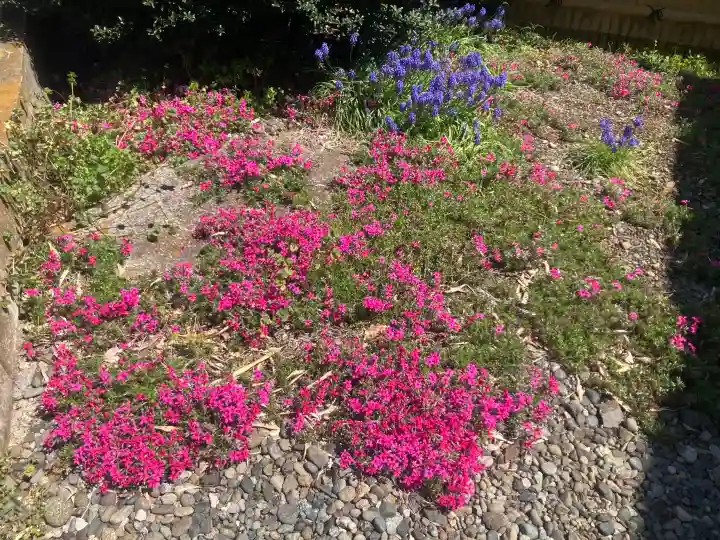 土橋観音堂の{uncategorized: "未分類", other: "その他", undefined: "問題あり", building: "その他建物", grave: "お墓", sacred_gate: "鳥居", guardian: "狛犬", statue: "像", buddha: "仏像", history: "歴史", nature: "自然", garden: "庭園", animal: "動物", pagoda: "塔", temizu: "手水舎", mountain_gate: "山門・神門", sanctuary: "本殿・本堂", subordinate: "末社・摂社", art: "芸術", scenery: "景色", jizo: "地蔵", ema: "絵馬", goshuin: "御朱印", omikuji: "おみくじ", items: "授与品その他", amulet: "お守り", goshuincho: "御朱印帳", eats: "食事", festival: "お祭り", votive_dance: "神楽", shichigosan: "七五三参", wedding: "結婚式", experience: "体験その他", initially: "初詣", around: "周辺", anti_infection: "感染症対策"}