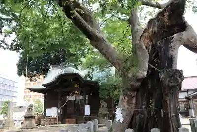 阿邪訶根神社の本殿・本堂
